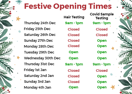 Festive Opening times