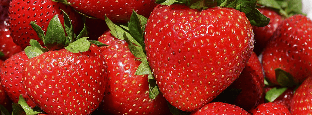 strawberry intolerance allergy signs symptoms