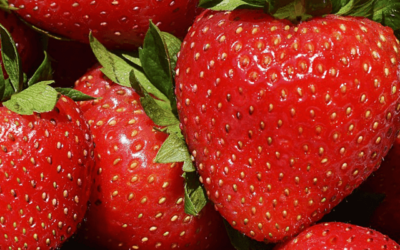 Strawberry Intolerance & Allergy | Signs & Symptoms