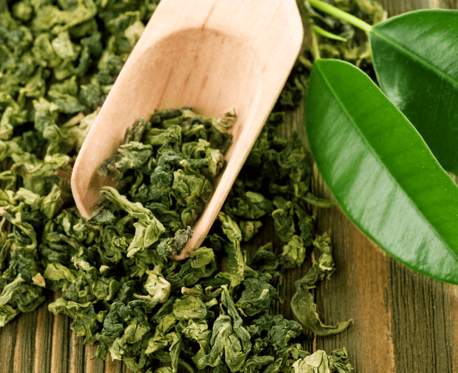 green tea info