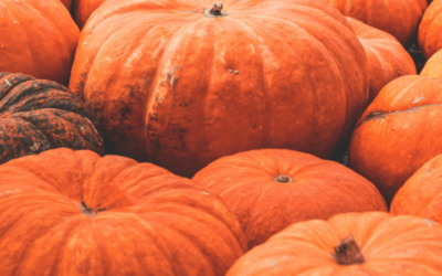 Allergies to Pumpkin: What to Know