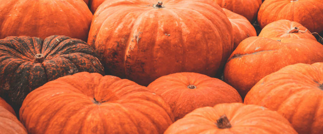 Allergies to Pumpkin: What to Know