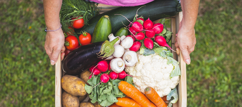Kweek je eigen groenten – waarom en wat zijn de voedingsvoordelen van zelfgekweekte groenten