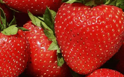 Strawberry Intolerance & Allergy | Signs & Symptoms